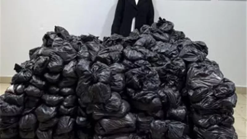 شنطة مقابل صوتك.. ضبط سيدة وبحوزتها سلع غذائية لتوزيعها على الناخبين بالمنيا