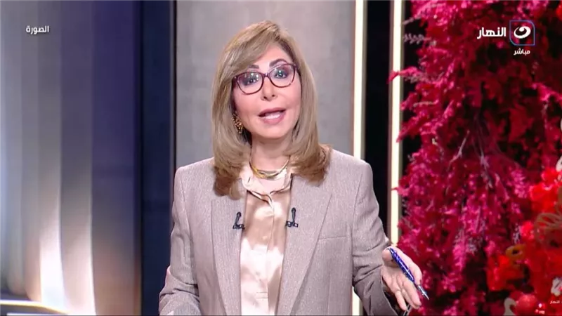 «اللي يهمه سعر الفراخ والبنزين».. لميس الحديدي توضح أهم ما يهتم به المواطن 