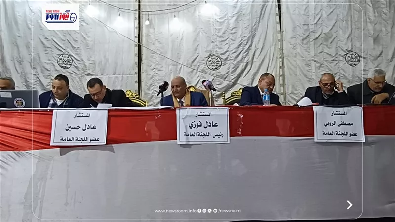 بالأرقام نتائج  الحصر العددي لأصوات الناخبين بالدائرة الثالثة بالفيوم 