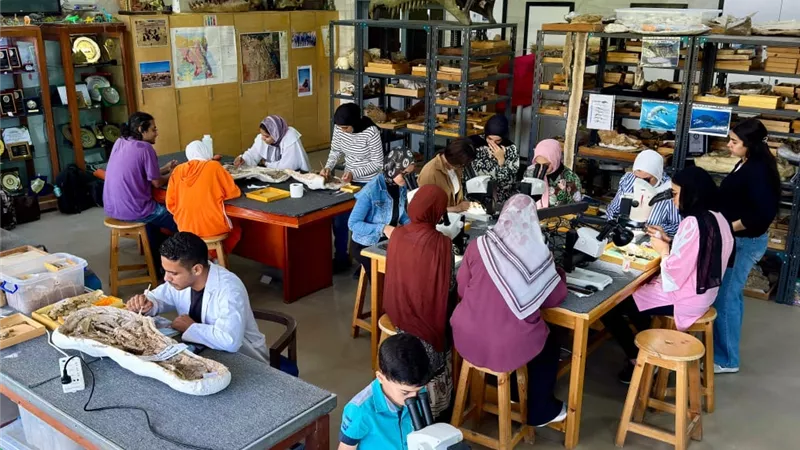 اكتشافات جديدة وجوائز دولية.. أبرز اكتشافات فريق