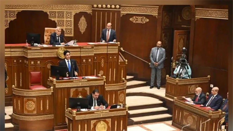  بحضور محمود فوزي.. مجلس الشيوخ يستكمل مناقشة قانون الضريبة على العقارات اليوم