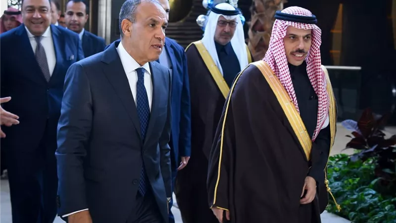 أحمد سيد أحمد: اللقاء المصري السعودي يعكس ثقل البلدين ودورهما المحوري 