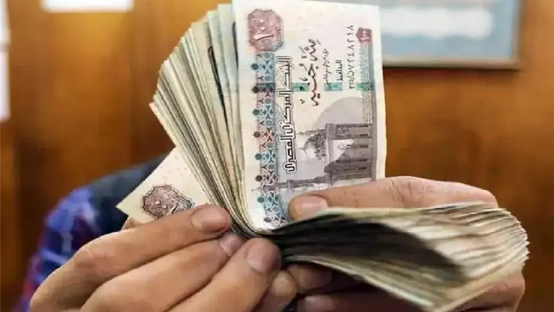 9 معلومات تهمك عن منظومة توحيد الأجور والمرتبات.. اعرف حقوقك