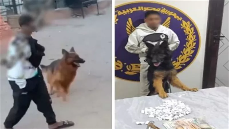 تاجر مخدرات .. كشف تفاصيل فيديو ترويع شخص بكلب بشبرا الخيمة 