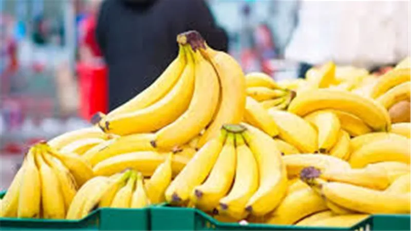 تعرف على أسعار الموز اليوم الأربعاء 7/1/2026 في سوق العبور 