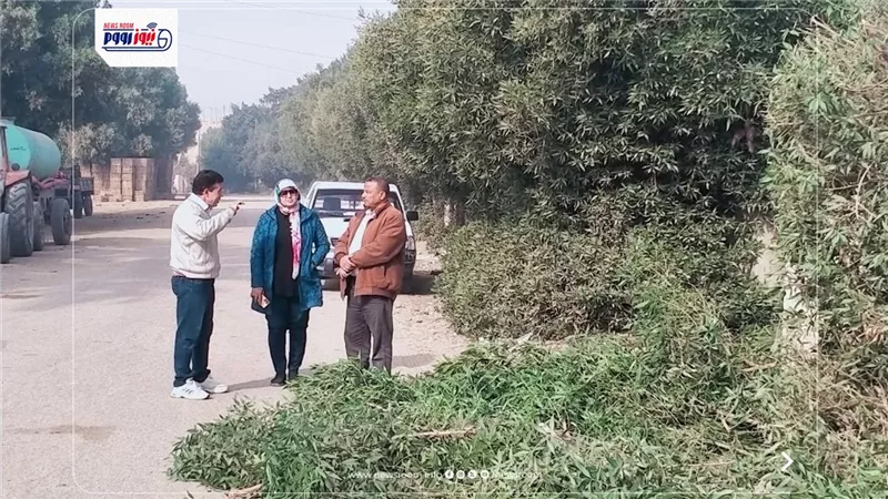 رئيس مركزأبشواى: رفع 340 طن قمامة ومخلفات وأعمال تشجير وتجميل بحملة نظافة