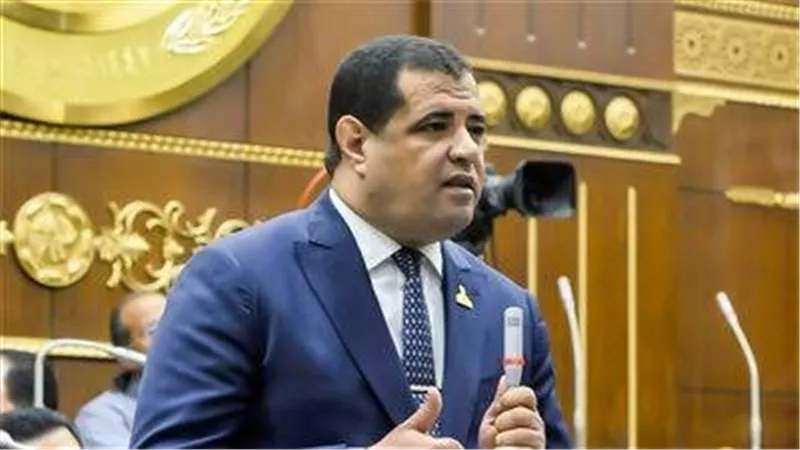 عضو بالشيوخ: التعاون المصري الصيني نموذج ناجح للتكامل الاقتصادي