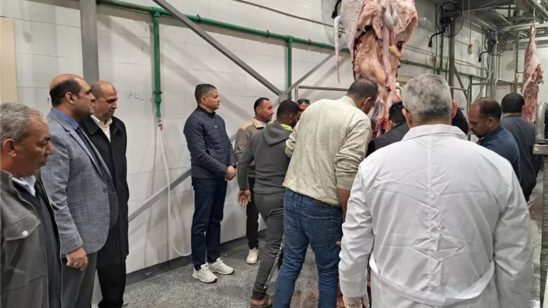 منال عوض: التشغيل التجريبى لـ 4 مجازر بعدة محافظات بتكلفة 129 مليون جنيه