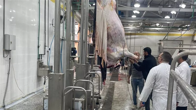 التنمية المحلية تعلن التشغيل التجريبى لـ4 مجازر بالمنوفية والدقهلية وكفر الشيخ