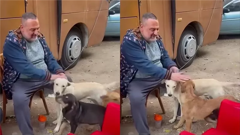بيطبطب على الكلاب .. خالد الصاوي ينشر فيديو إنساني من كواليس التصوير