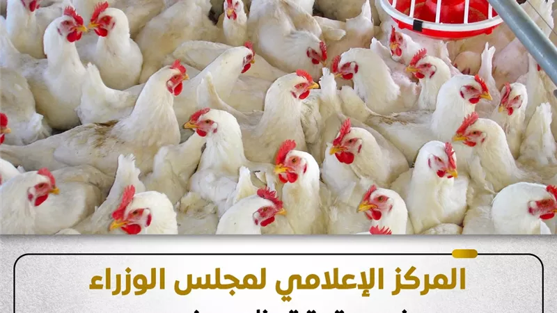 مجلس الوزراء يوضح حقيقة ظهور فيروس إنفلونزا الطيور بالمزارع المصرية