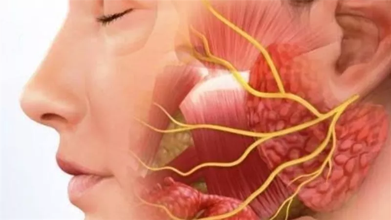 التهابات العصب السابع..الأسباب والأعراض وطرق العلاج والتشخيص والوقاية الحديثة 