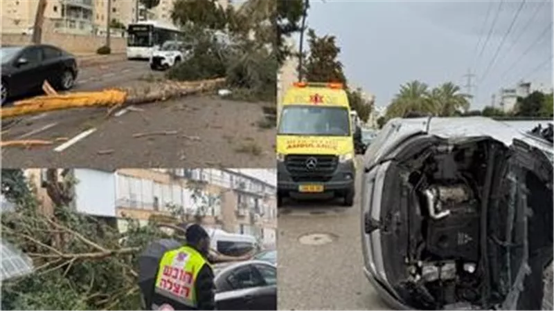 سقوط أشجار وأمطار غزيرة ووقوع إصابات.. طقس عاصف يضرب الكيان الإسرائيلي 