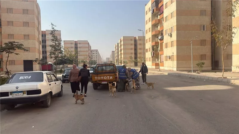 الزراعة تطلق منظومة وقائية متكاملة لحماية الصحة العامة والثروة الحيوانية 