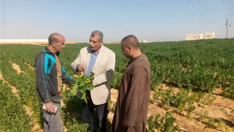 محافظ أسيوط يؤكد أهمية المتابعة المستمرة للزراعات ووكيل الزراعة يتفقد المحاصيل