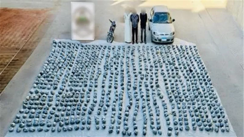 100 مليون جنيه.. الأمن يسقط إمبراطورية الكيف بالسويس ويضبط طن ونصف مخدرات