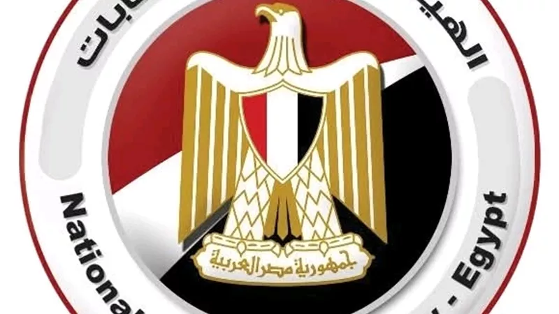 «الوطنية للانتخابات» تعلن فوز 9 نواب بـ«ثلاث دوائر» في جولة الإعادة بأسيوط