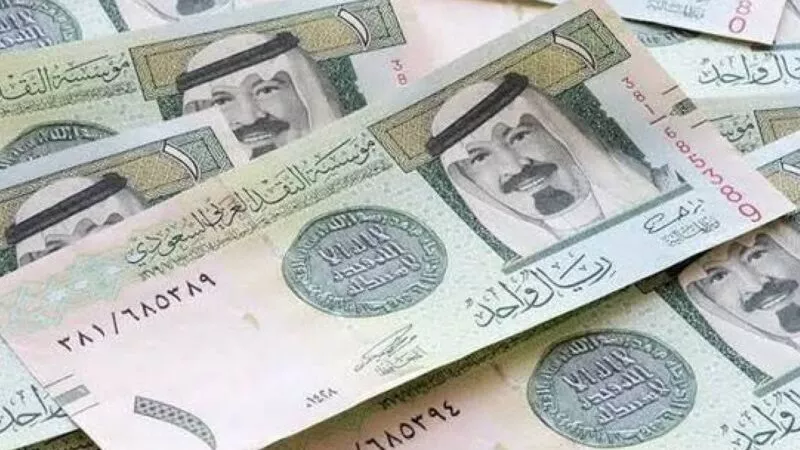 أسعار الريال مقابل الجنيه المصري  اليوم الأحد 22 فبراير 2026.