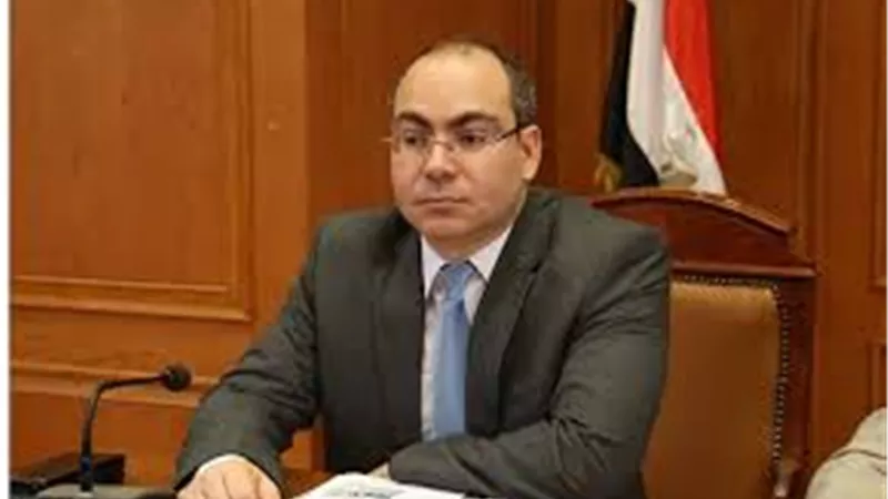 برلماني: فيتو الرئيس أرسى وجود النواب الحقيقيين وكلمة السر في صوت المواطن