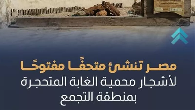 مصر تنشئ متحفا مفتوحا لأشجار محمية الغابة المتحجرة بالتجمع