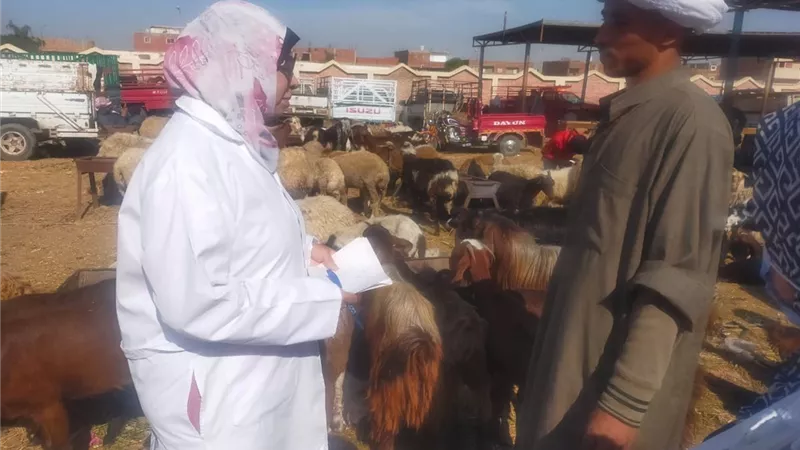 فرق التقصي بالخدمات البيطرية تطرق أبواب 13 ألف منزل في 1300 قرية 