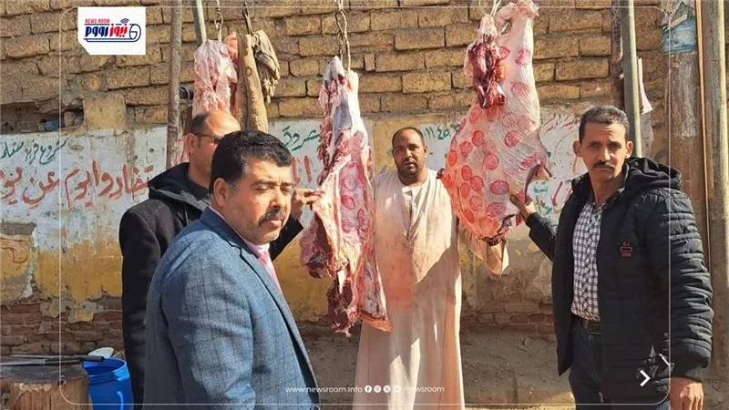بيطرى المنيا: ضبط 252 كجم لحوم غير صالحة ولحوم مذبوحة خارج المجازر