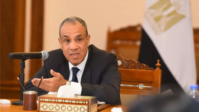 وزير الخارجية: القطاع الخاص ركيزة لتعزيز الشراكات الاقتصادية في إفريقيا