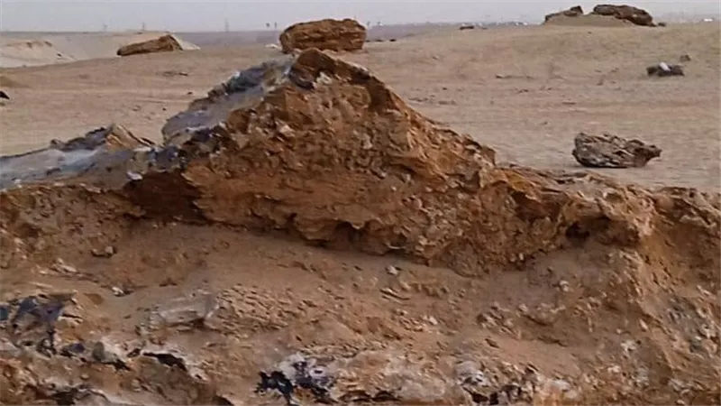 نيوز رووم يرصد ملامح محمية الغابة المتحجرة بعد جولة وزيرة التنمية المحلية| صور