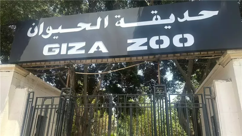 موعد افتتاح حديقة الحيوان بالجيزة 2026.. تعرف على التفاصيل الكاملة