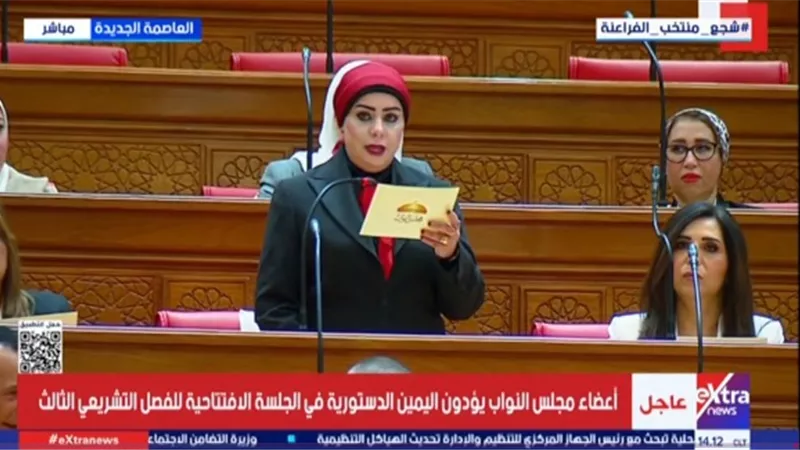 جيهان شاهين: أولوياتي بالمجلس تنطلق من ملفات تمس حياة المواطنين بشكل مباشرة