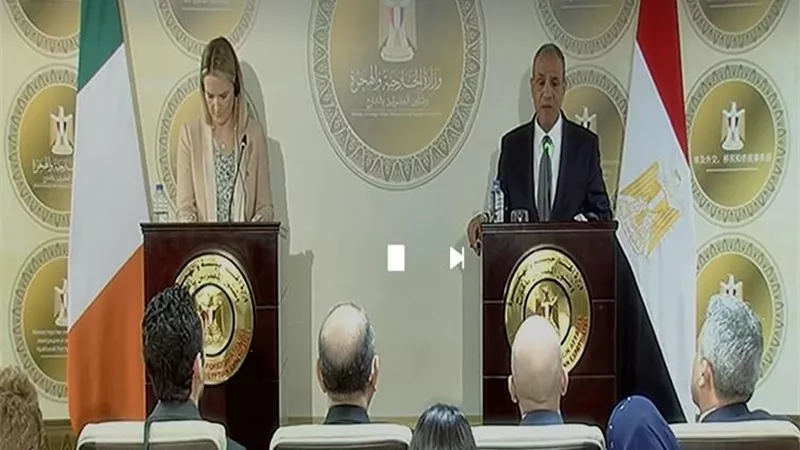 وزير الخارجية: مصر تثمن موقف أيرلندا الداعم للفلسطينيين