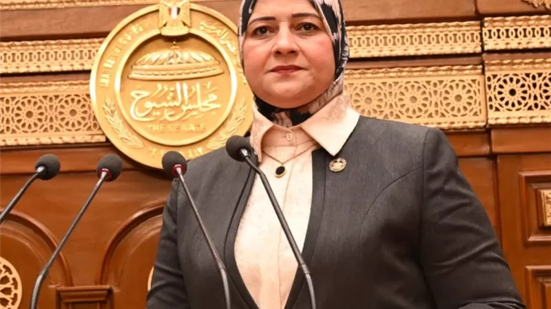مروة قنصوه: مشروع الطاقة الشمسية بنجع حمادي نقلة استراتيجية للتحول الطاقي 