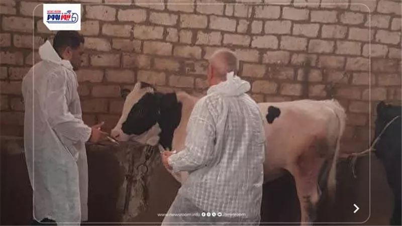 محافظ الفيوم يتابع أعمال الحملة القومية الإستثنائية للتحصين ضد الحمى القلاعية
