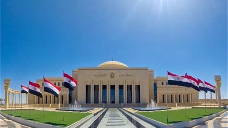 لميس الحديدي: البرلمان الجديد مطالب بتفعيل أدواته الرقابية بفعالية