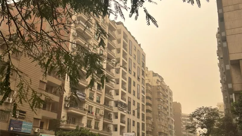تقلبات جوية مفاجئة.. عاصفة ترابية ورياح شديدة تضرب محافظة الجيزة|صور
