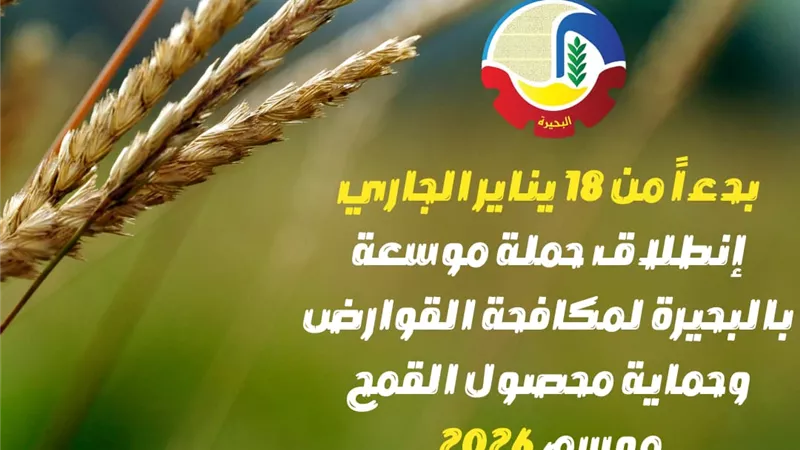 بدءاً من 18 يناير .. انطلاق حملة موسعة بالبحيرة لمكافحة القوارض