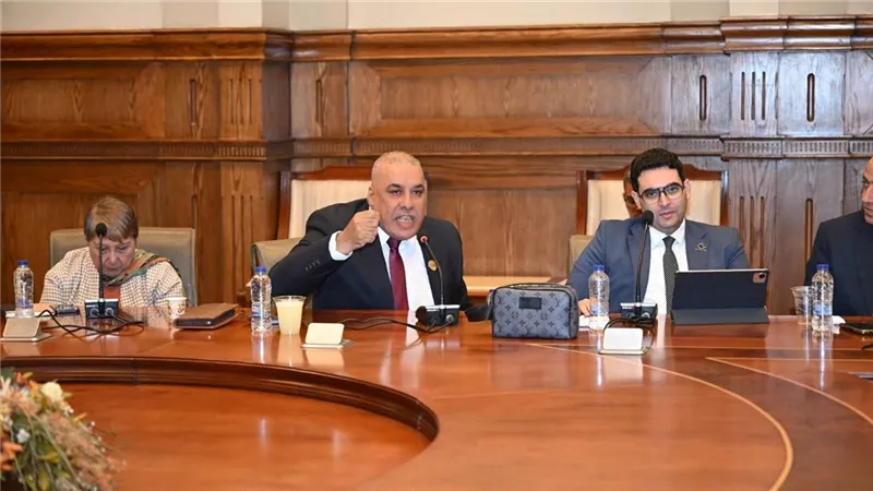 النائب محمد أبو النصر يطالب بتطوير قصور الثقافة وإشراك القطاع الخاص 