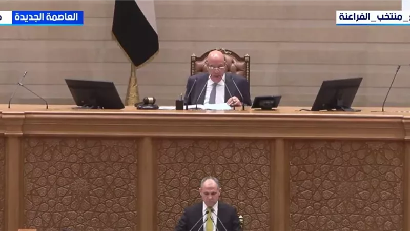 كل ما تود معرفته عن تشكيل هيئات مكاتب اللجان الـ25 بمجلس النواب