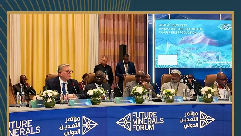 وزير البترول والثروة المعدنية يشارك في المائدة المستديرة للتعدين عن افريقيا 