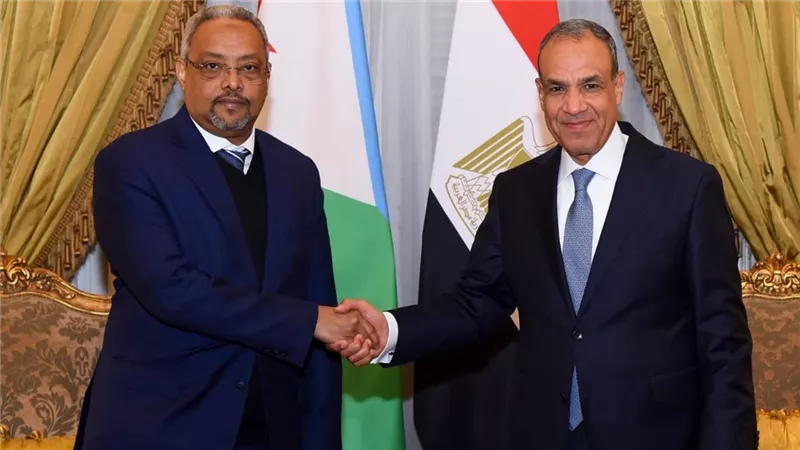 عبد العاطي يلتقي وزير جيبوتي لتعزيز التعاون ودعم السلام في السودان