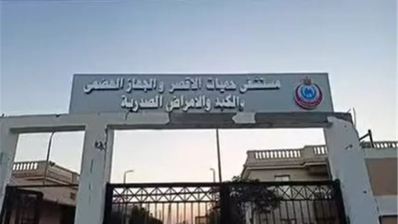 الصحة: تقديم أكثر من 530 ألف خدمة طبية بمحافظة الأقصر خلال عام 2025