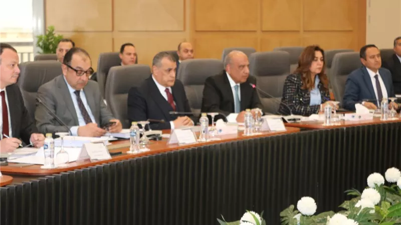 محمود عصمت: إتاحة الطاقة الكهربائية لكافة الاستخدامات كركيزة أساسية للتنمية