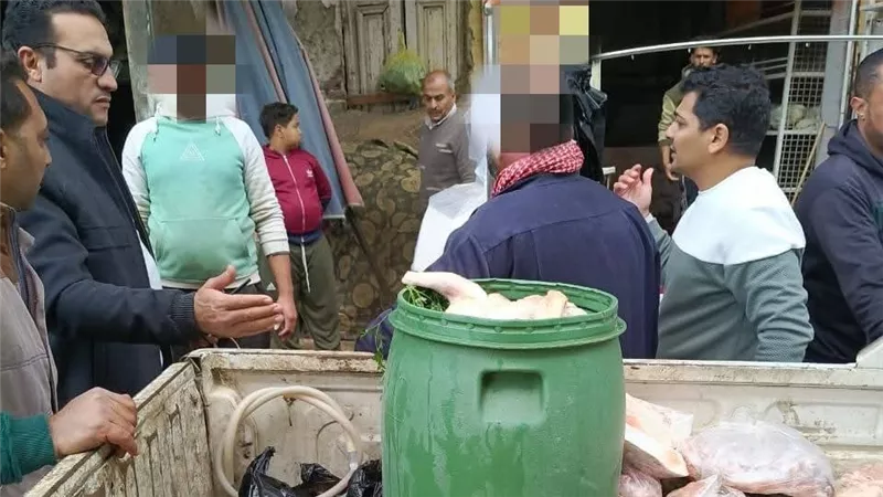 ضبط ربع طن دواجن محقونة بالمياه وغير صالحة للاستهلاك الآدمي بالمنوفية
