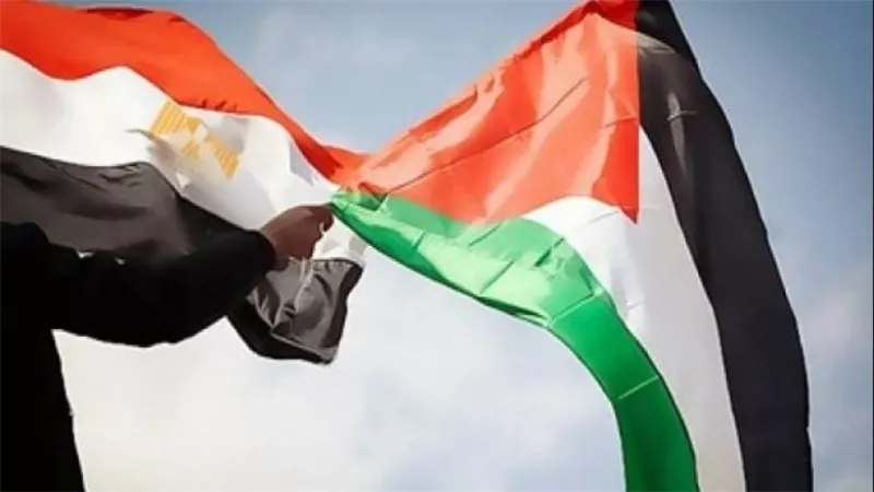 هشام عناني: مصر أنجزت ما لم يستطع أحد أن يحققه بتوحيد الصف الفلسطيني 