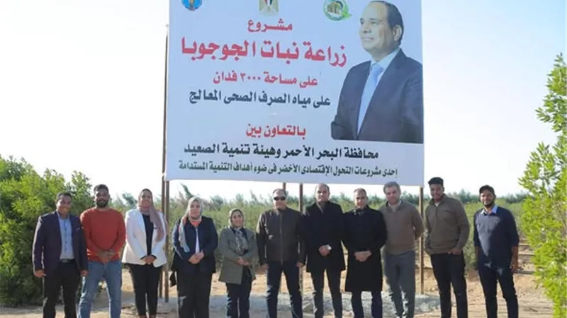 رئيس هيئة تنمية الصعيد يتفقد ويتابع عملية حصاد محصول الجوجوبا بالبحر الأحمر