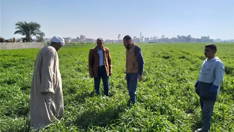محافظ أسيوط يشدد على متابعة الزراعات بالقرى والنجوع المحافظة