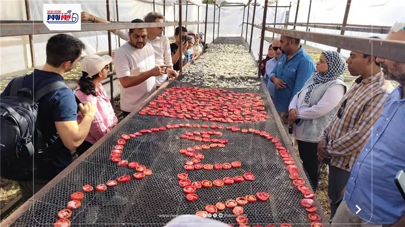 حصاد مشروعات التعاون الدولي بمحافظة المنيا في 2025