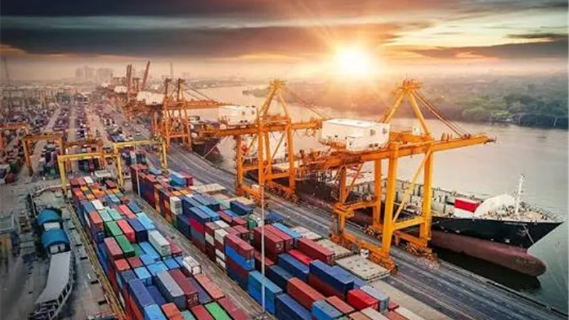 48مليون و547 ألف جنيه حصيلة البيع بجلسة جمارك مطار القاهرة والإسكندرية ومطروح