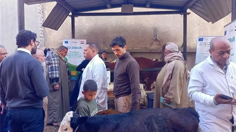 بيطرى ببنى سويف: الحملات التفتيشية مستمرة للحفاظ على صحة المواطنين