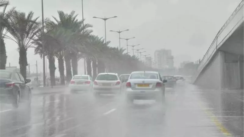 مصرع عجوز دهسا وإصابه زوجها بأزمه قلبية فور علمه بوفاتها في الإسكندرية 